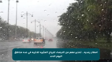 أمطار رعدية.. تحذير مهم من الأرصاد للرياح المثيرة للأتربة في عدة مناطق اليوم الأحد